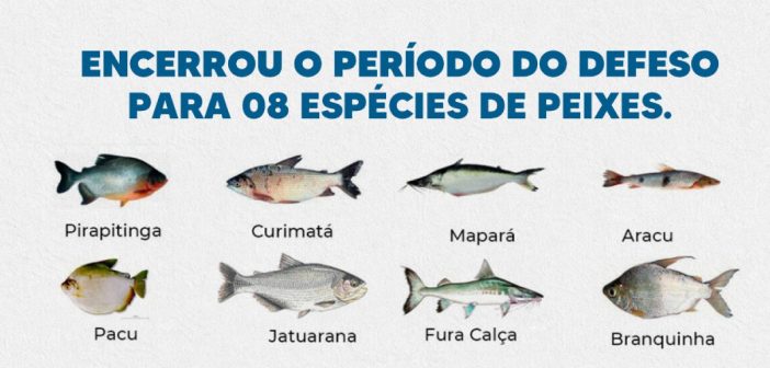 Encerrou o período de defeso para 08 espécies de peixes