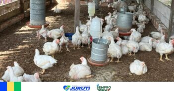 SEMPRO fortalece a qualidade da Alimentação Escolar em Juruti.