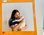 Abril Laranja: cadastro para castração gratuita de cães e gatos inicia em Juruti.